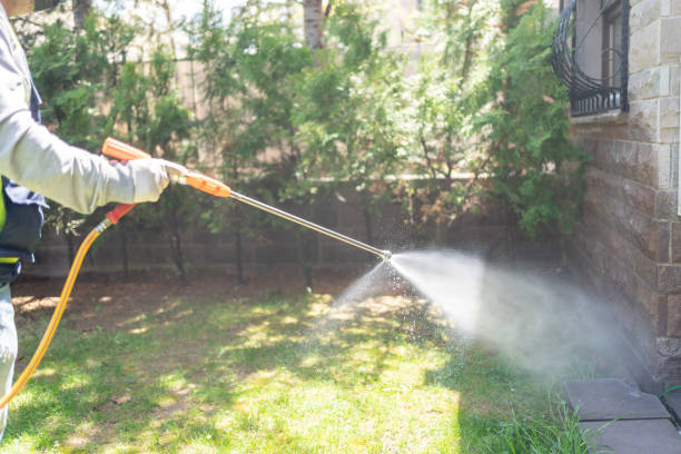 Best Seasonal Pest Control (e.g., summer mosquitoes, winter rodents)  in Youngsville, LA